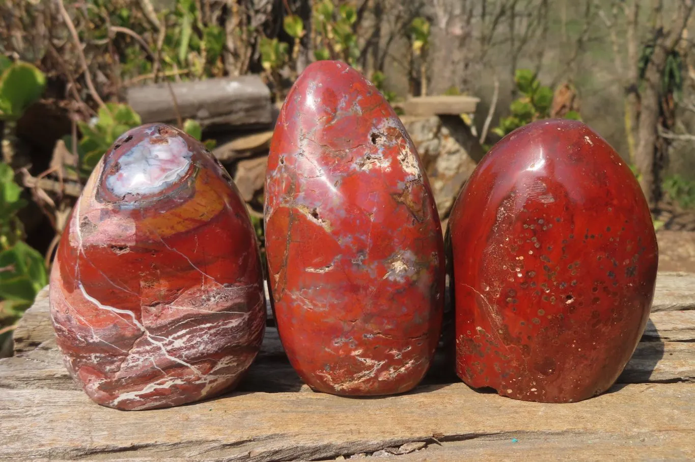 Polished Red Jasper Standing Free Forms x 3 From Madagascar