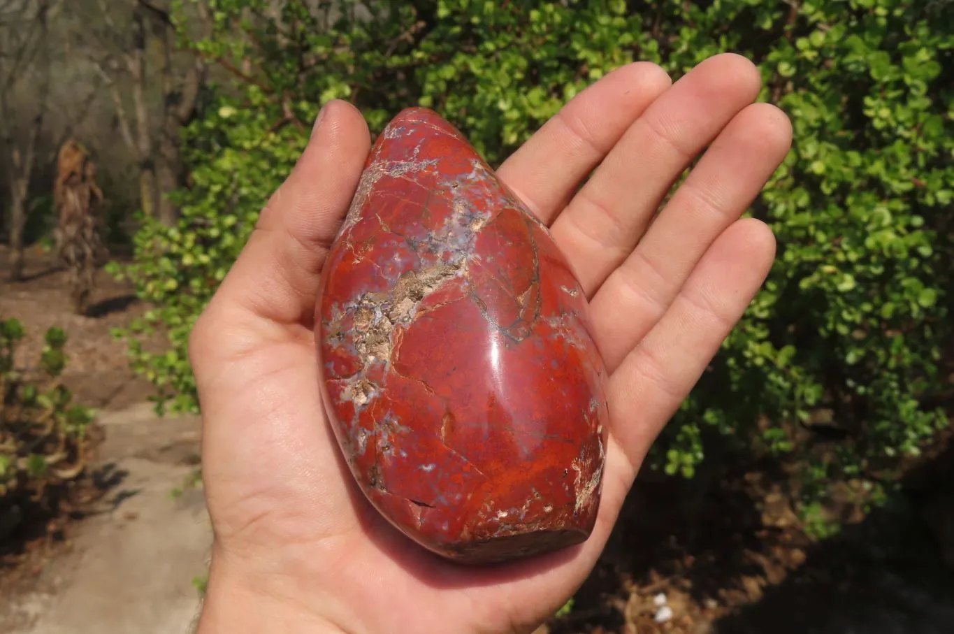 Polished Red Jasper Standing Free Forms x 3 From Madagascar