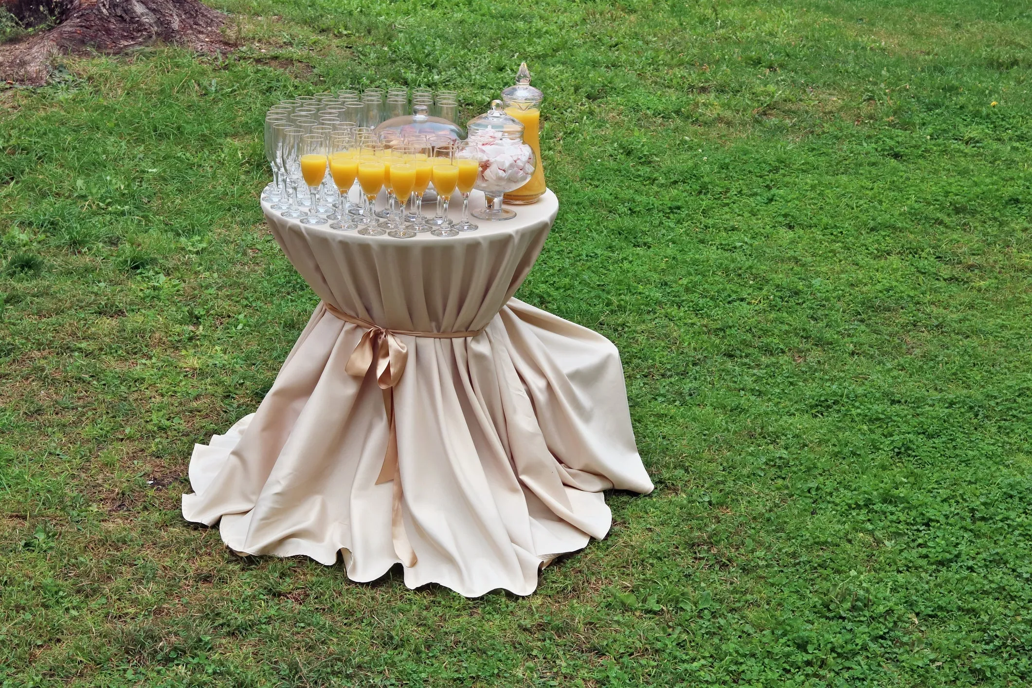 Poly Premier Round Tablecloth