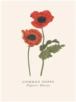 Poppy Card