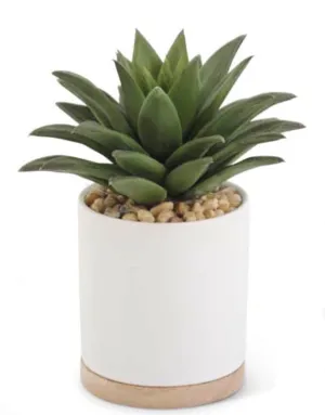 Potted Faux Succulent I