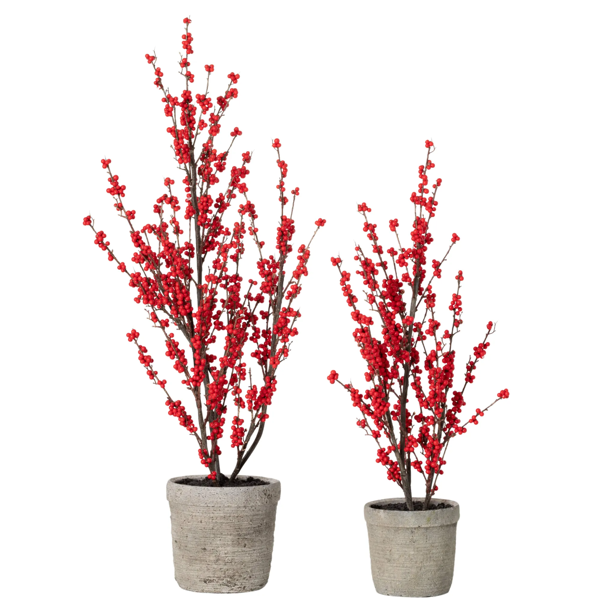 Potted Red Berry Tree