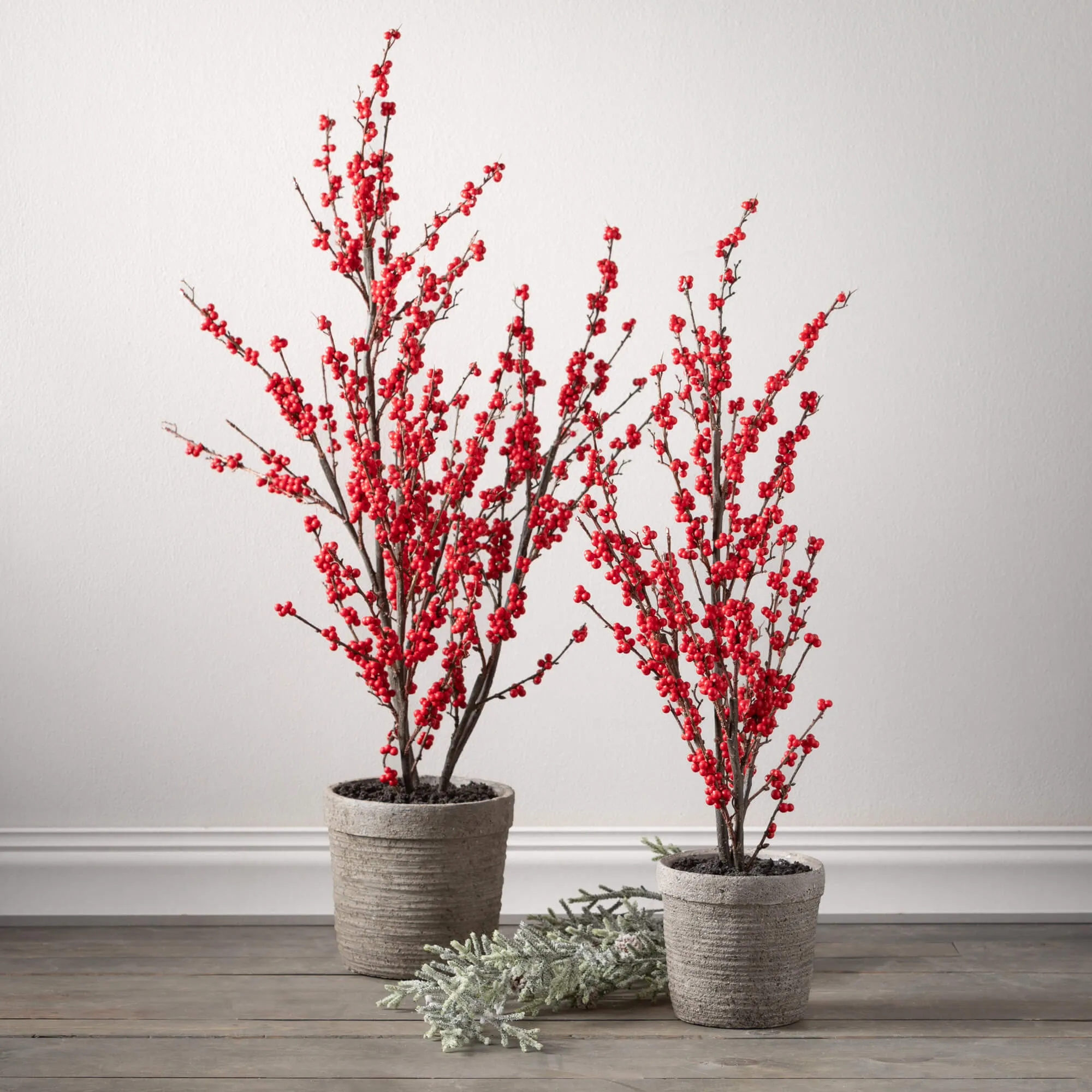 Potted Red Berry Tree