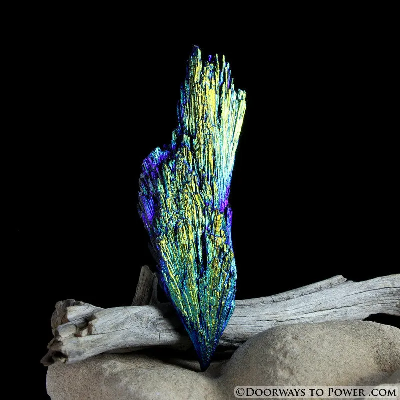 Powerful Aqua Aura Black Kyanite Crystal A    