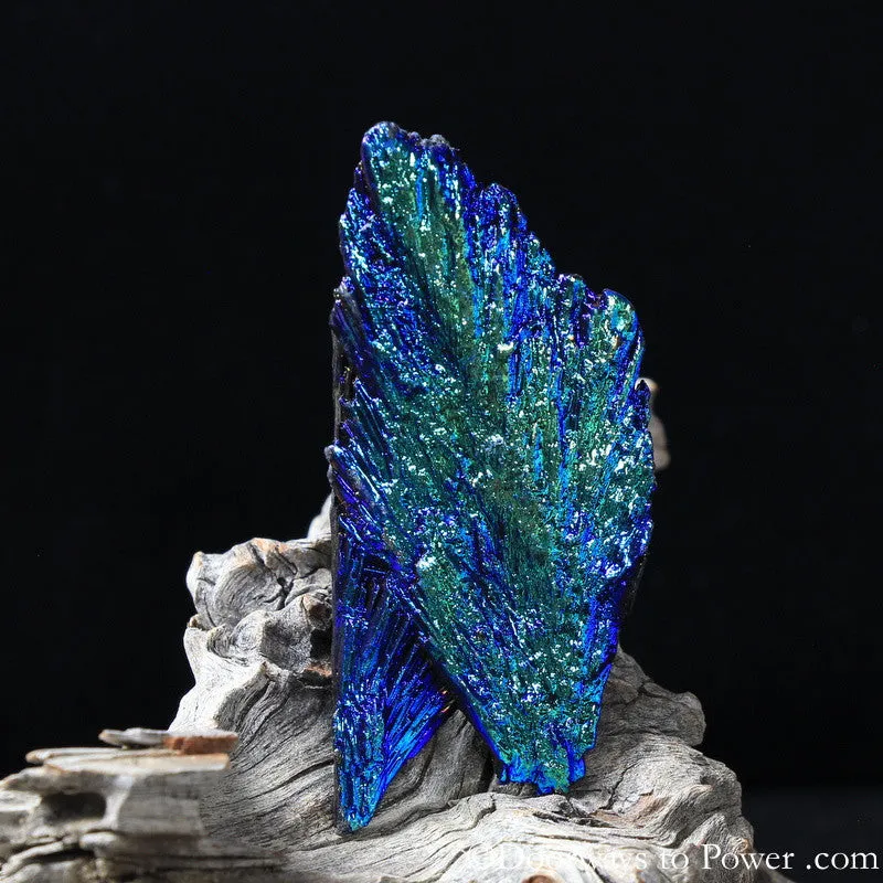 Powerful Black Kyanite Aura Crystal A    