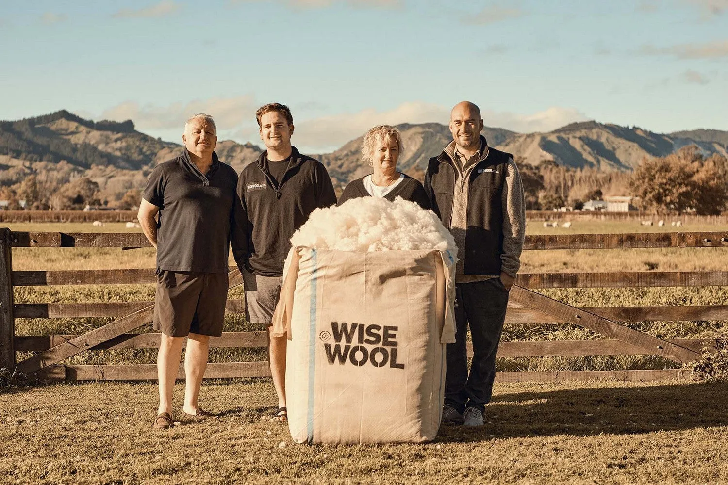 Premium Wisewool Pillows