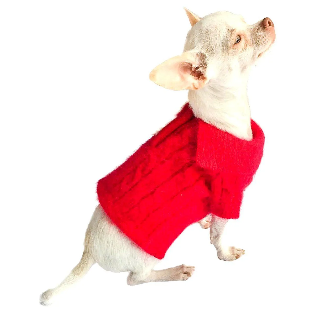 Preppy Polo Cable Dog Sweater Red