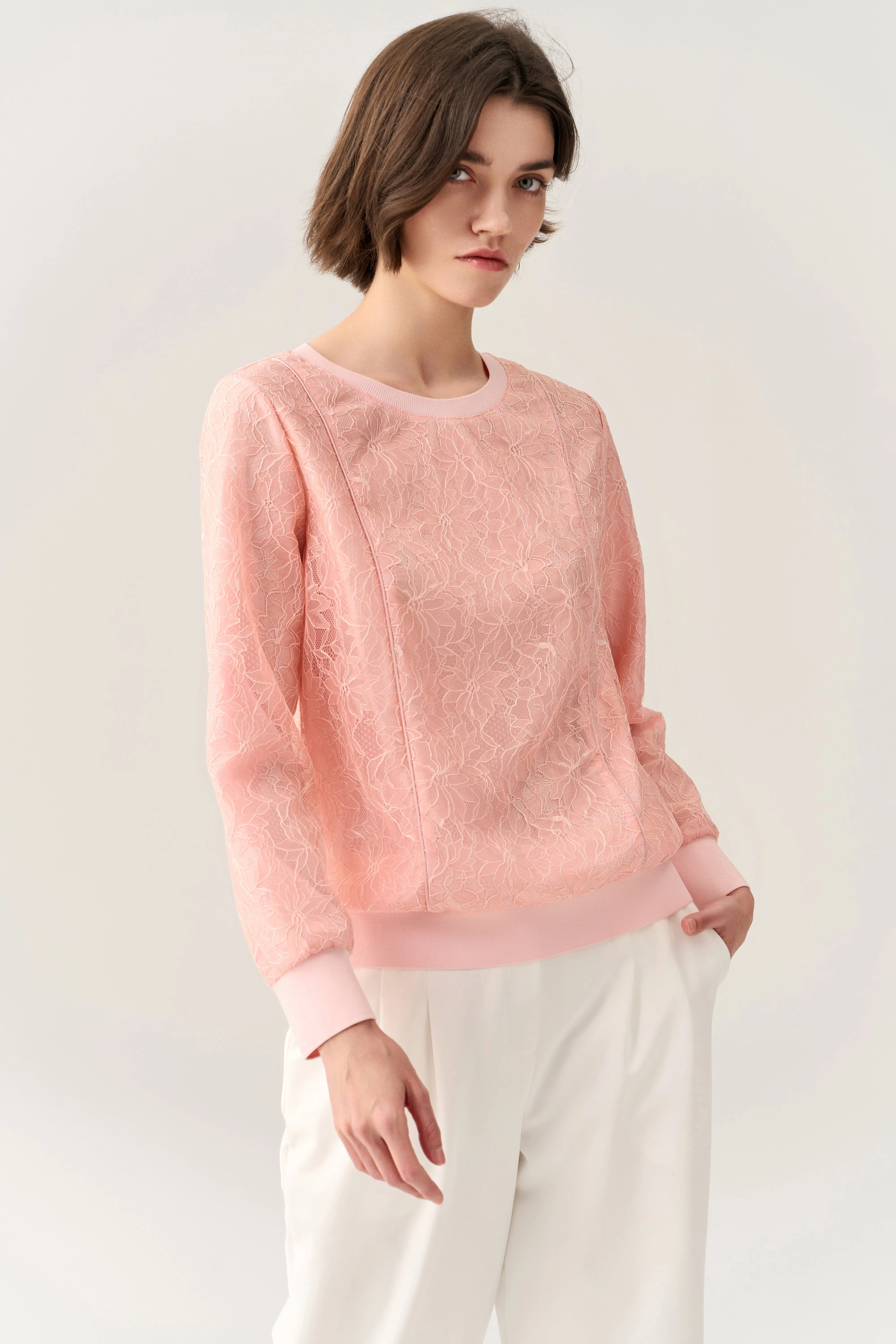 Pressed-crease Ribbed-hem Lace Sweatshirt