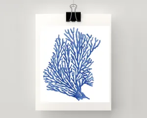 Print of seaweed /seafan in blue accents