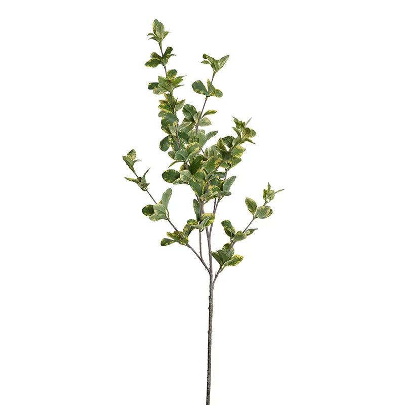 Privet Foliage Spray, 36"L - Yellow Green