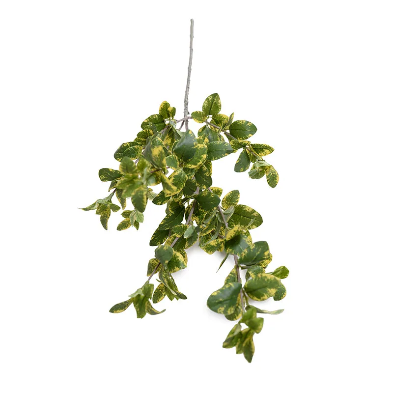 Privet Foliage Spray, 36"L - Yellow Green