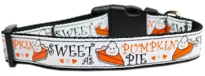 Pumpkin Pie Nylon Dog Collar Medium Narrow