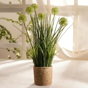 PURE HOME   LIVING Green Artificial Onion Flower with Rattan Basket