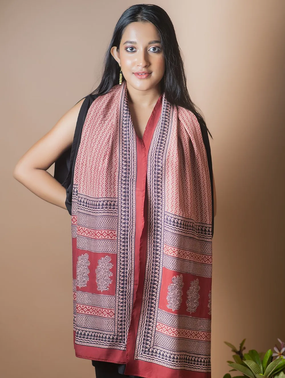 Pure Silk Bagh Printed Stole - Red Pattern