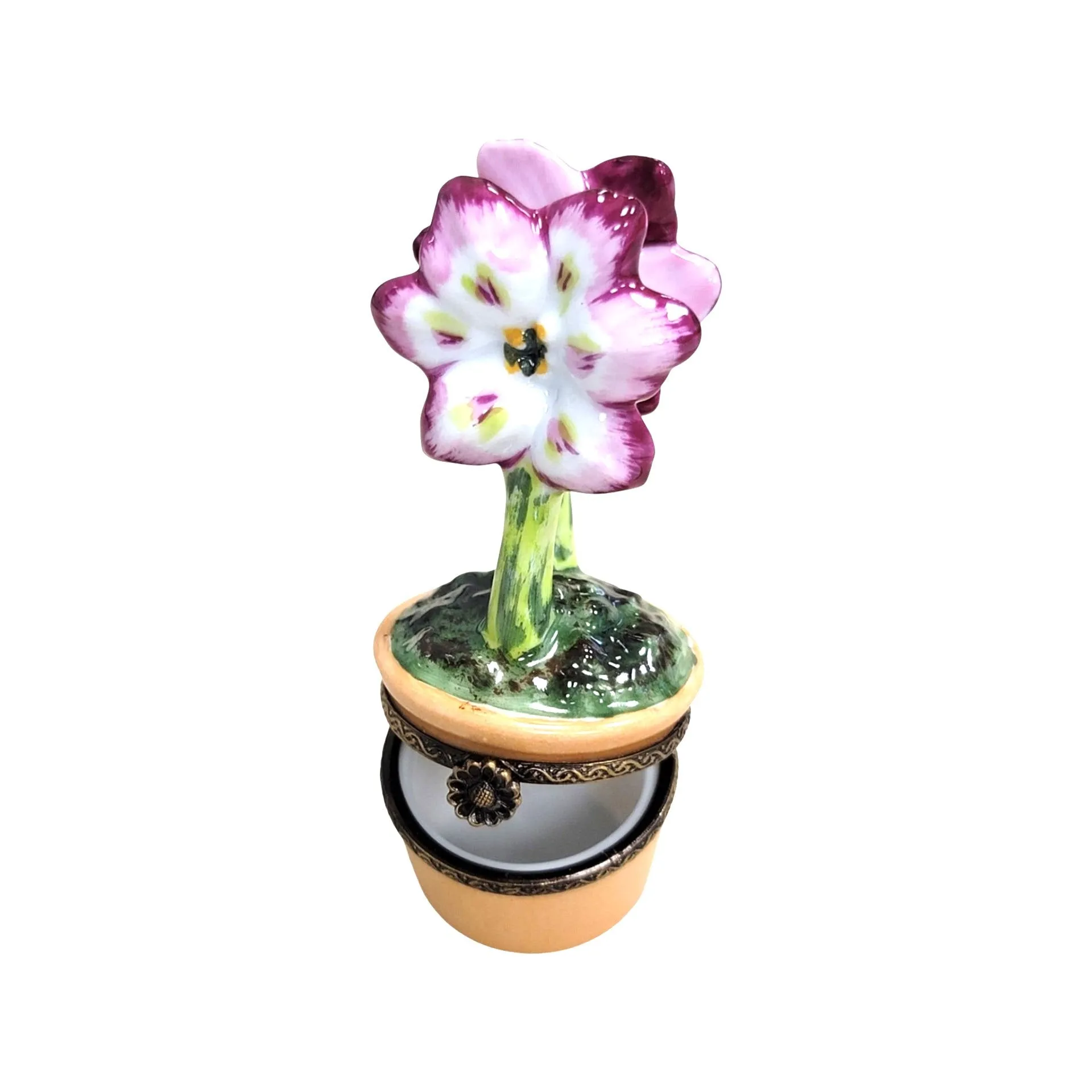 Purple Flowers in Pot