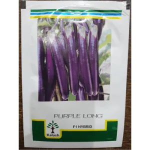 Purple Long F1 Hybrid Brinjal