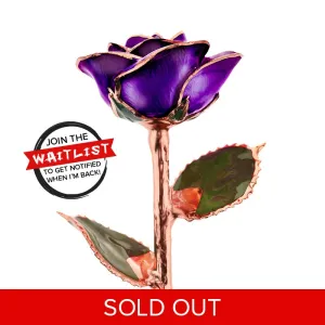 Purple Passion Rose Gold Dipped Rose