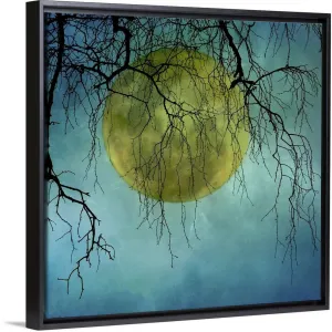 "A huge full moon behind bare winter branches." Black Float Frame Canvas Art