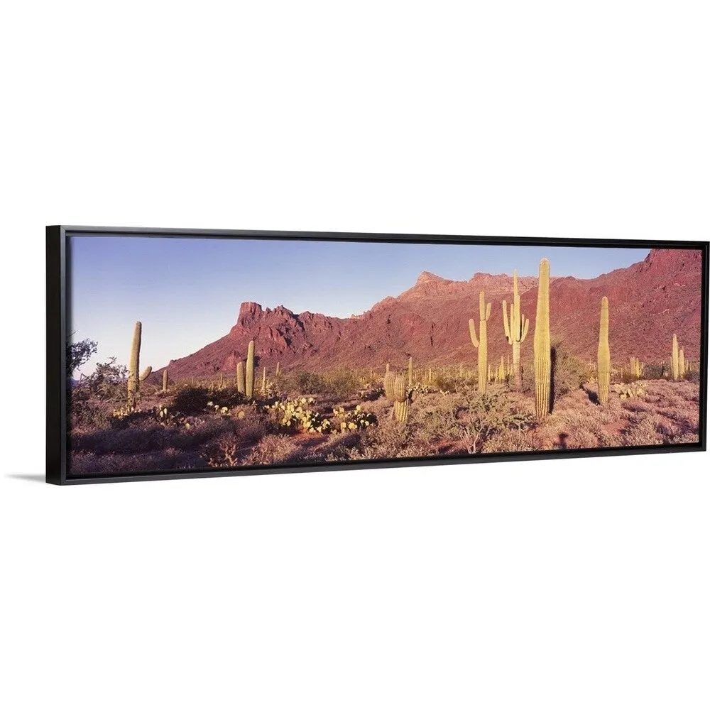 "Alamo Canyon Organ Pipe Cactus National Park AZ" Black Float Frame Canvas Art