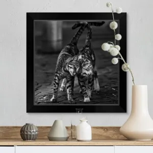 "Alleycats In Love" Black Framed Print