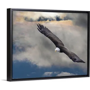 "an eagle in flight rising above the storm" Black Float Frame Canvas Art