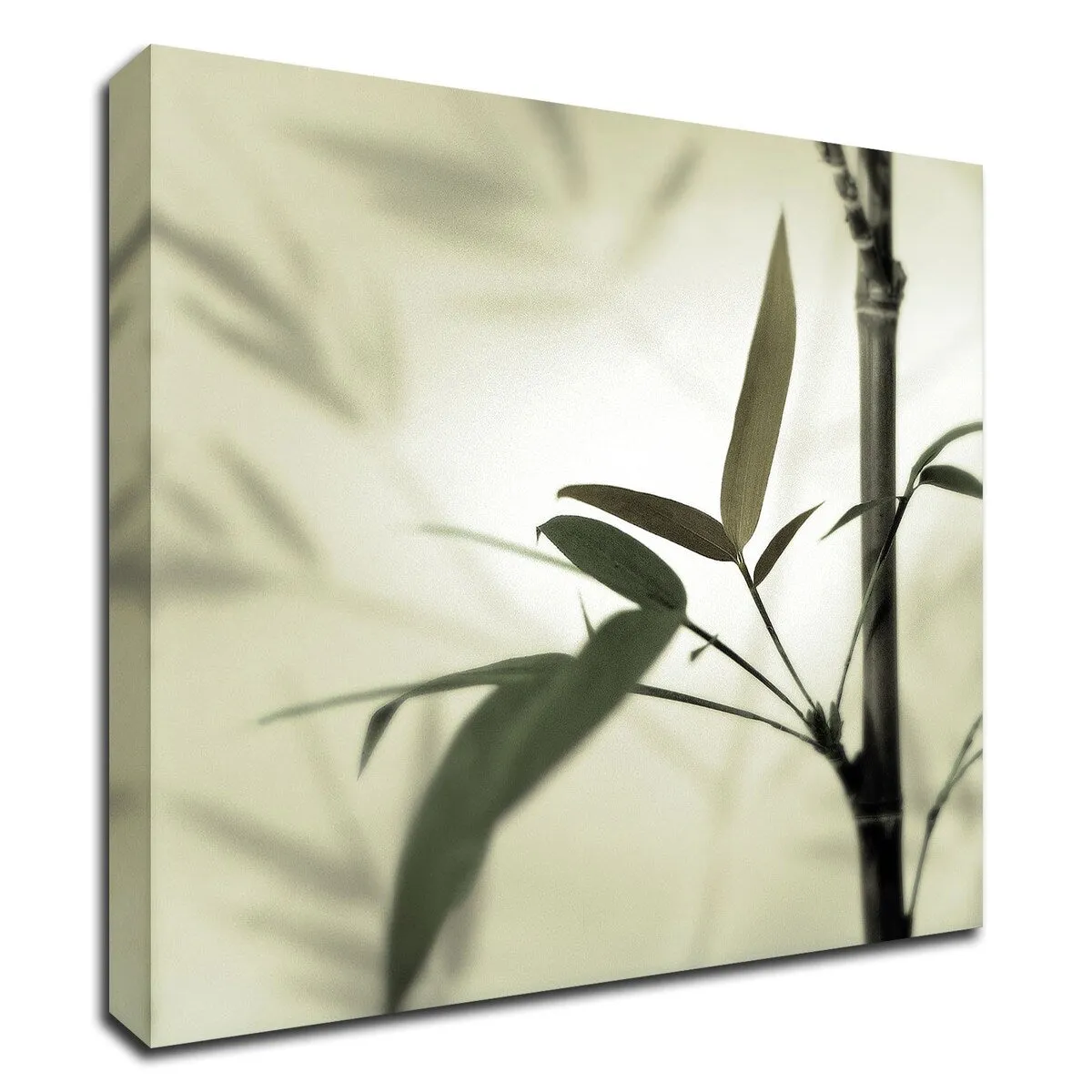 "Bamboo #1" Wrapped Canvas Print Wall Art