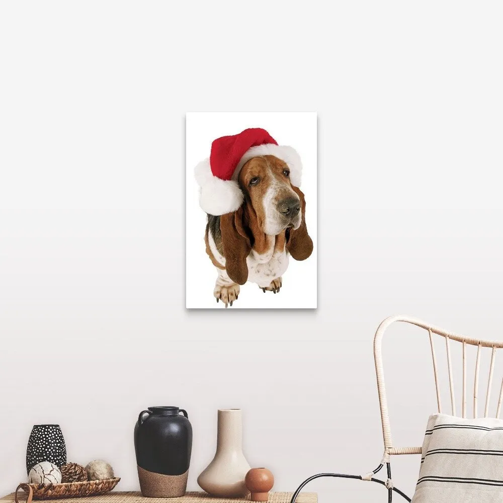 "Basset Hound displaying a Santa hat" Canvas Wall Art