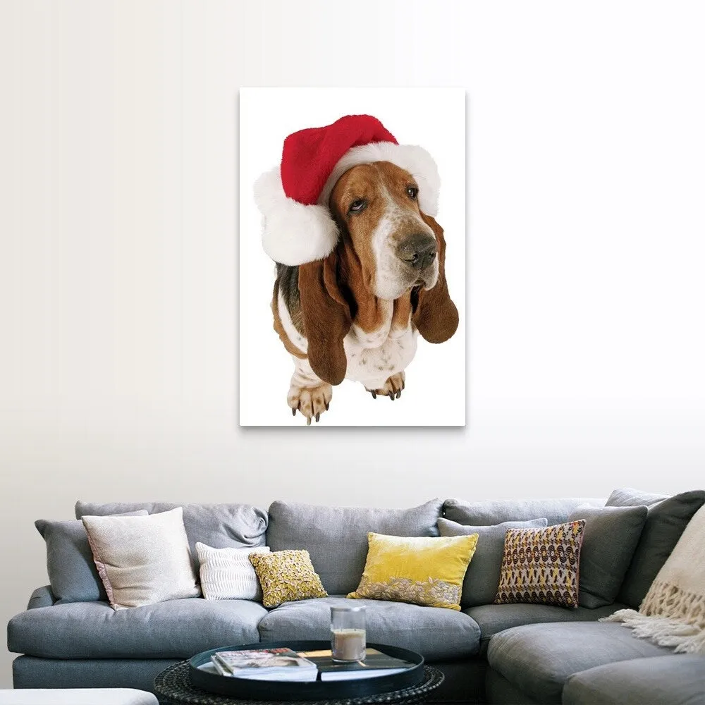 "Basset Hound displaying a Santa hat" Canvas Wall Art