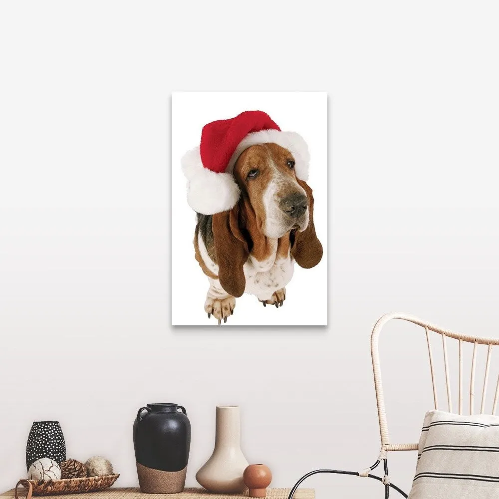 "Basset Hound displaying a Santa hat" Canvas Wall Art