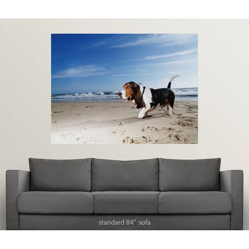 "Basset hound walking on the beach" Poster Print - Multi