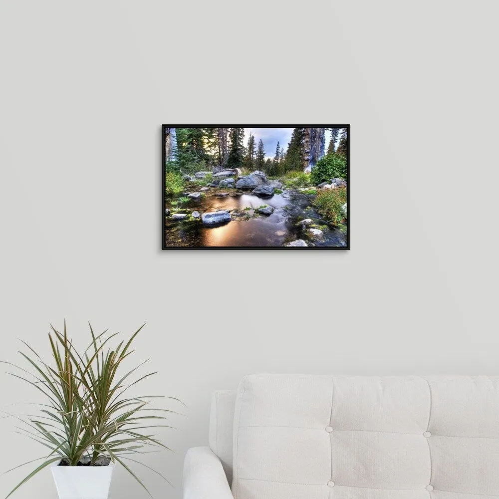 "Beautiful light illuminates Gray Creek at sunset, Nevada" Black Float Frame Canvas Art