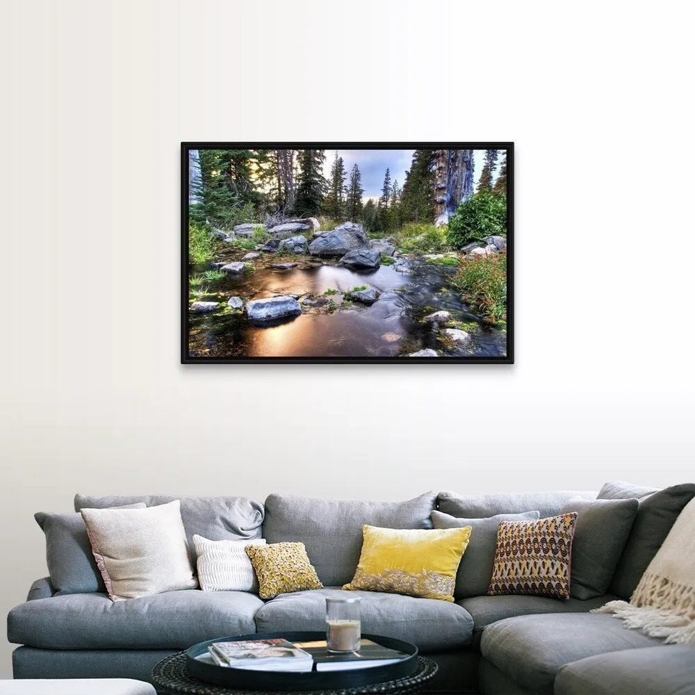 "Beautiful light illuminates Gray Creek at sunset, Nevada" Black Float Frame Canvas Art