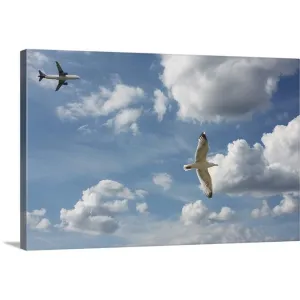 "Bird and air plane fly together against clouds in sky, New York." Canvas Wall Art