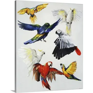 "Birds of Paradise" Canvas Wall Art