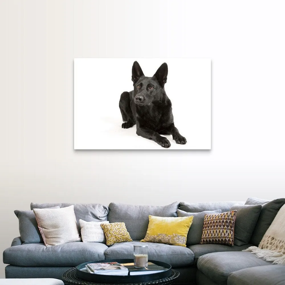 "Black German Shepherd laying down" Canvas Wall Art