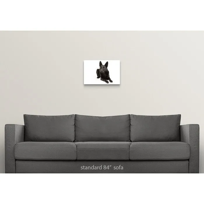 "Black German Shepherd laying down" Canvas Wall Art