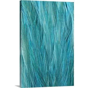 "Blue Feathers" Canvas Wall Art