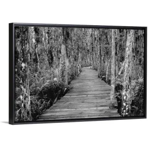 "Boardwalk Through Everglades Florida, USA" Black Float Frame Canvas Art