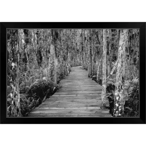 "Boardwalk Through Everglades Florida, USA" Black Framed Print