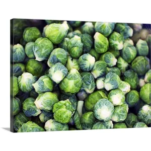 "Bright Green Fresh Brussels Sprouts" Canvas Wall Art