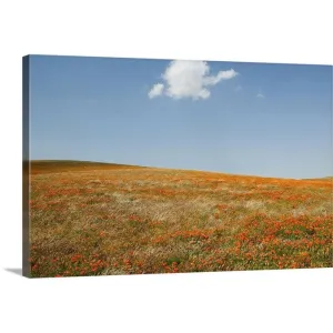 "California, Antelope Valley, California Poppy Reserve" Canvas Wall Art