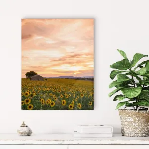 "Plateau du Soleil" | Aluminum Photography Print