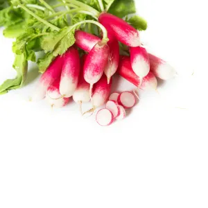 Radish French Tip 2 Punta Bianca Rosso Seeds | Weston Seeds