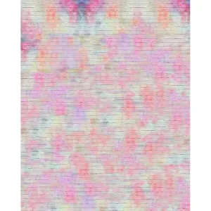 Rainbow Mottled Brick Printed Backdrop