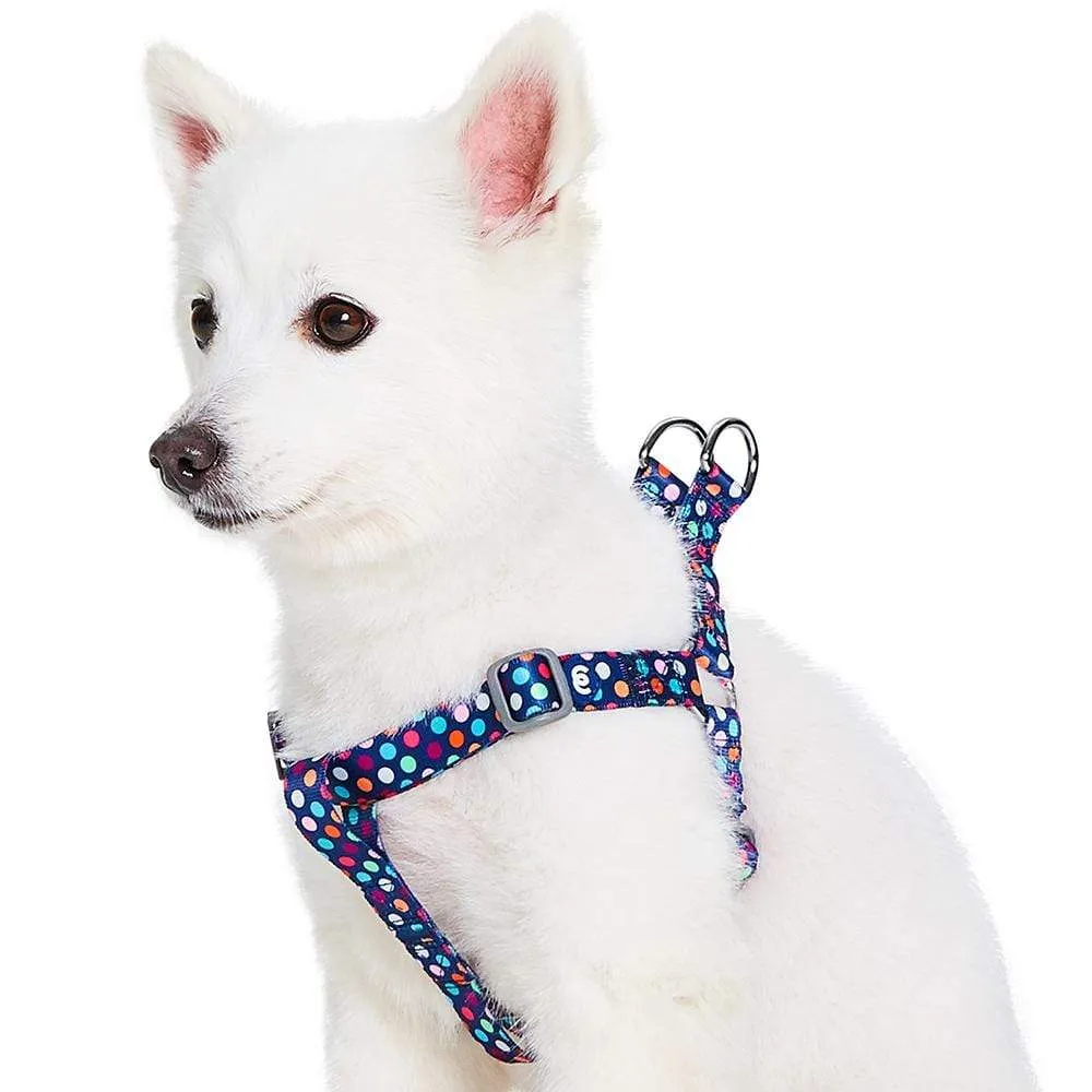 Rainbow Polka Dots Dog Harness