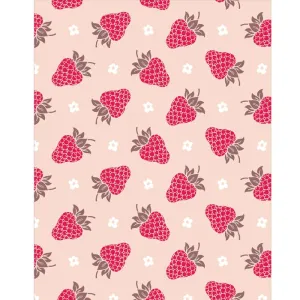 Raspberry Wallpaper Printed Backdrop