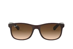 Ray-Ban 4202 Sunglass