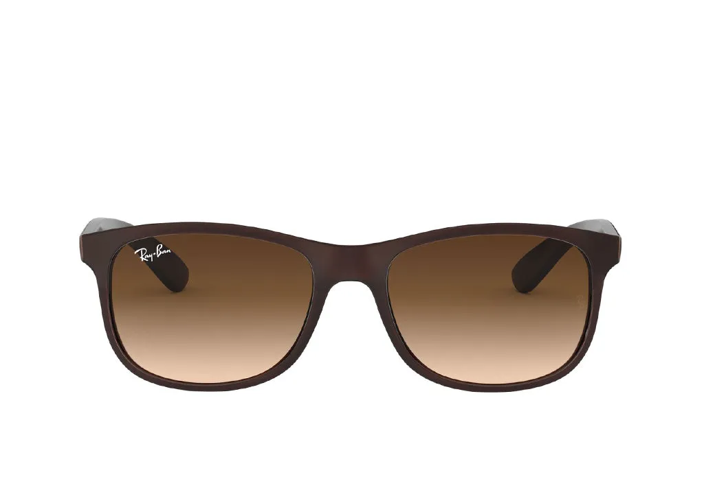 Ray-Ban 4202 Sunglass