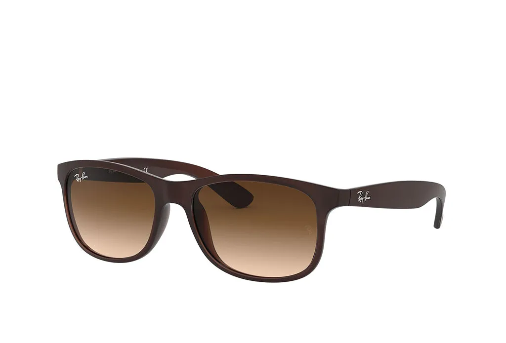 Ray-Ban 4202 Sunglass