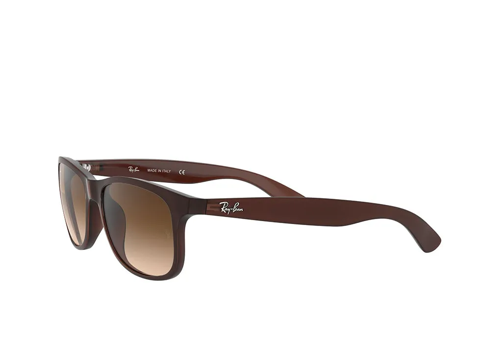 Ray-Ban 4202 Sunglass